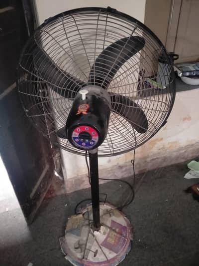 pedestal fans