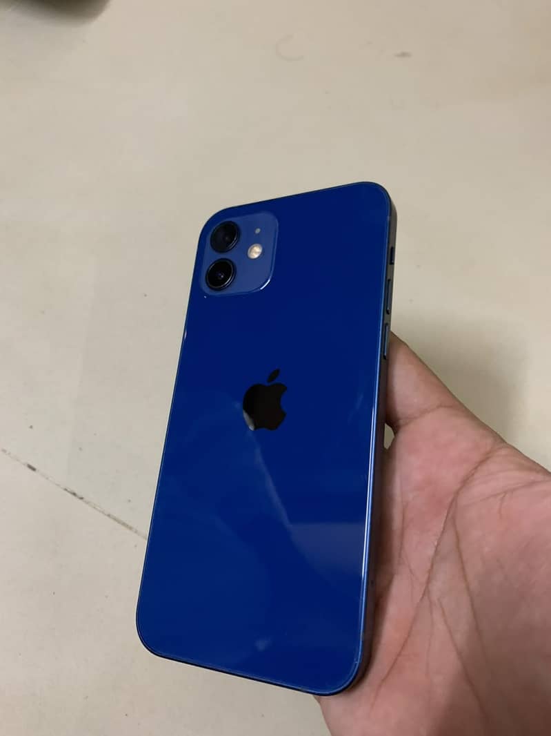 Apple iPhone 12 1