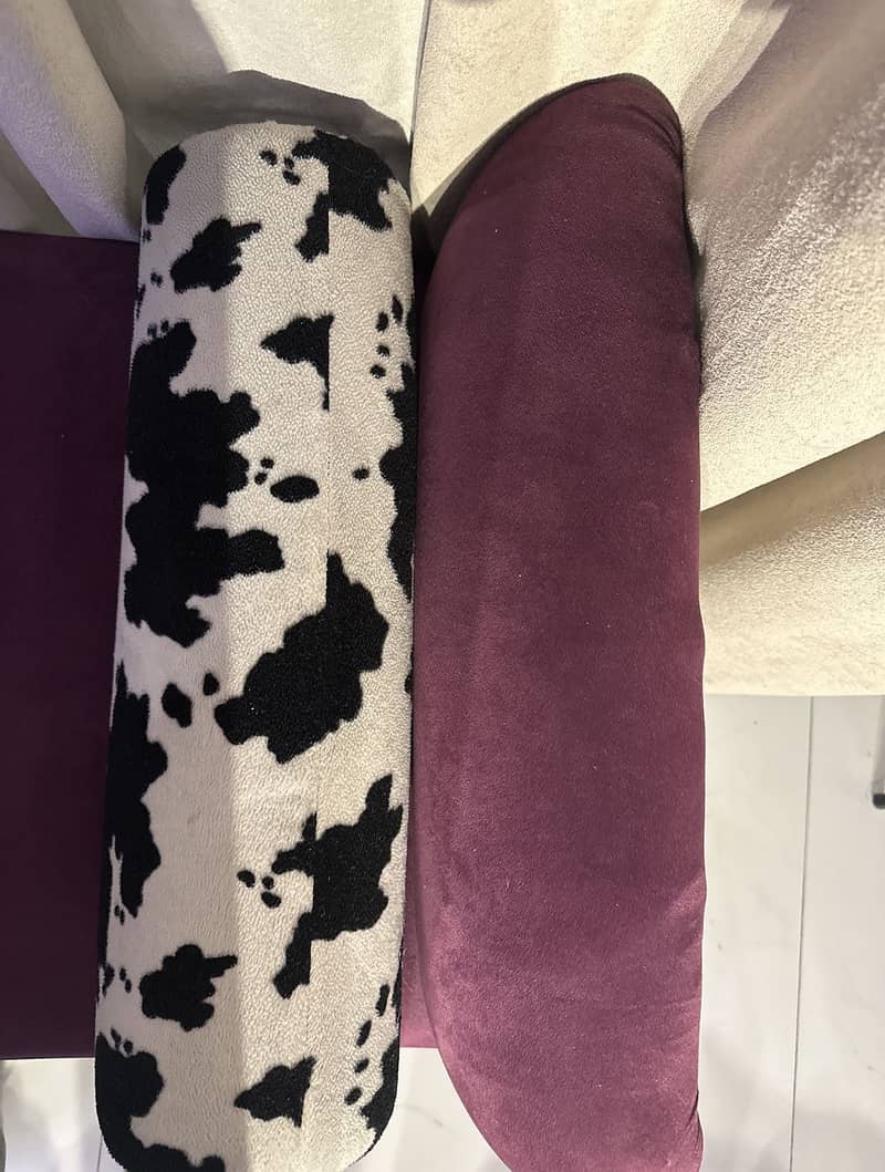 Couch sofa 1