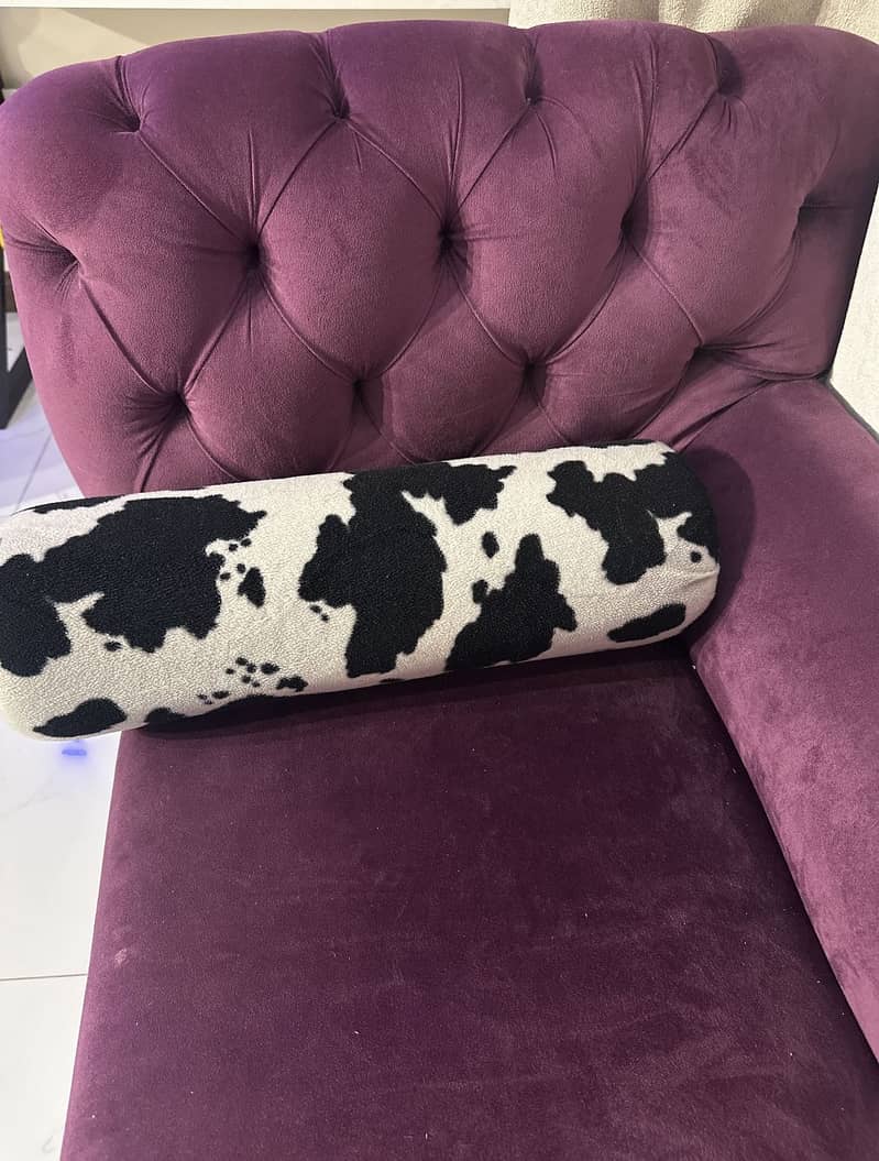 Couch sofa 2