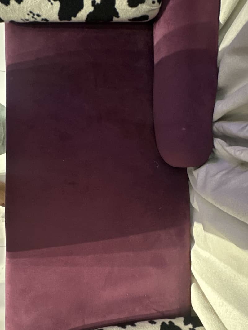 Couch sofa 5