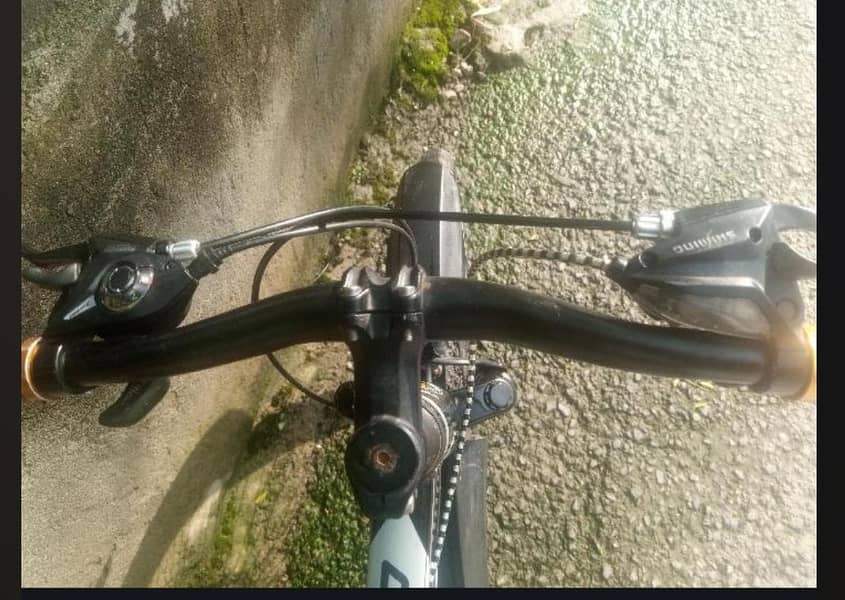 bicycle 1