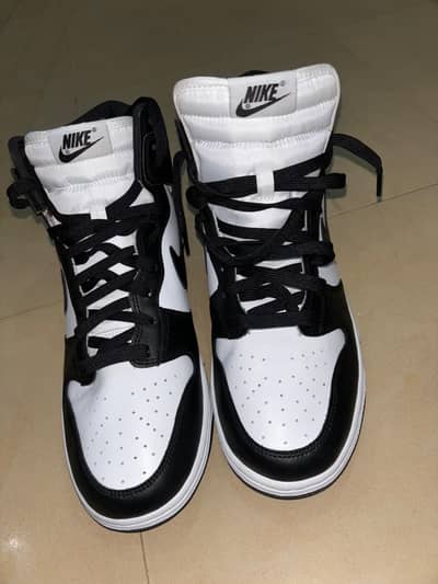 Nike Dunk brand new shows
