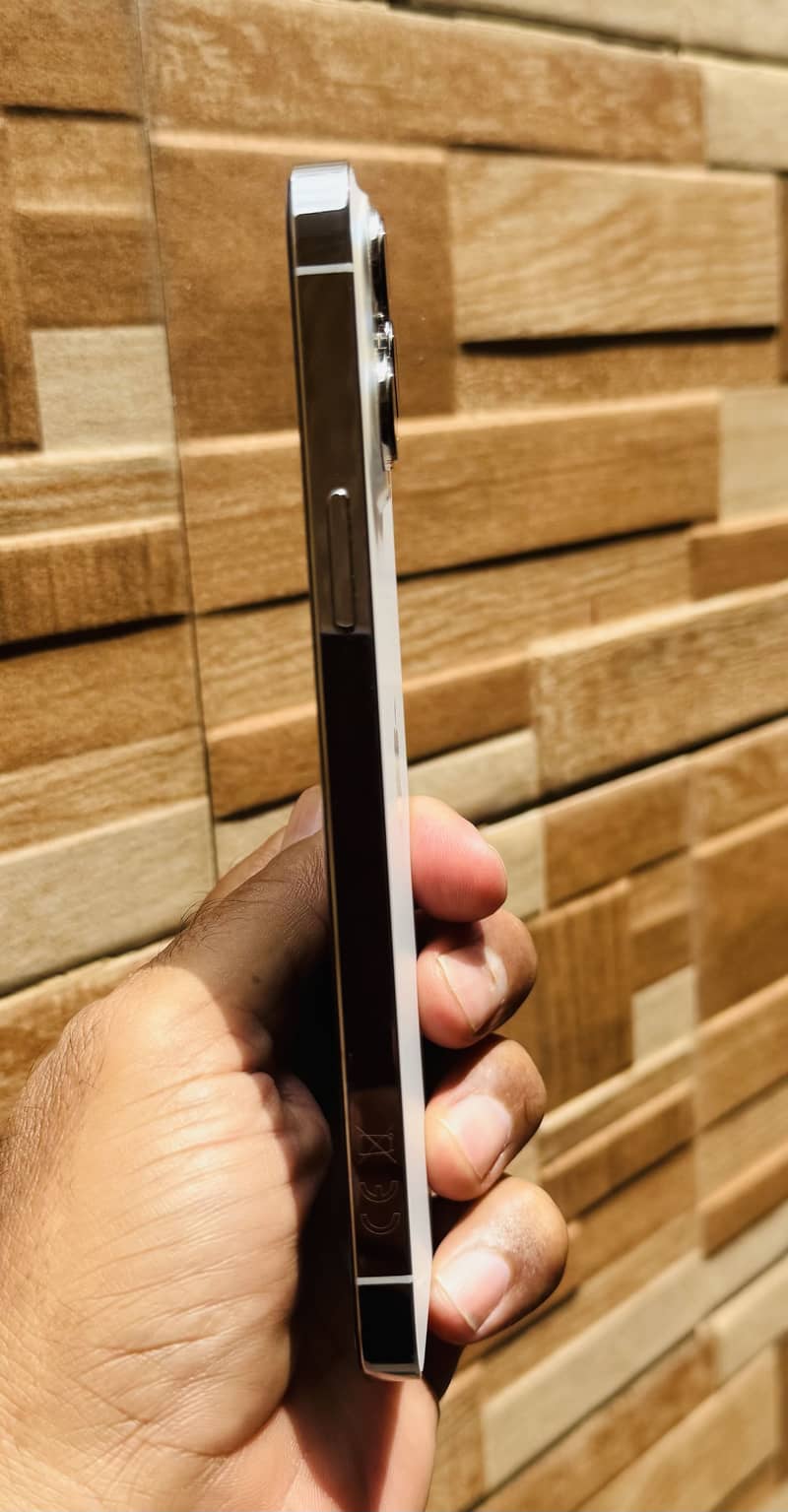 Apple iPhone 13 Pro Max 1