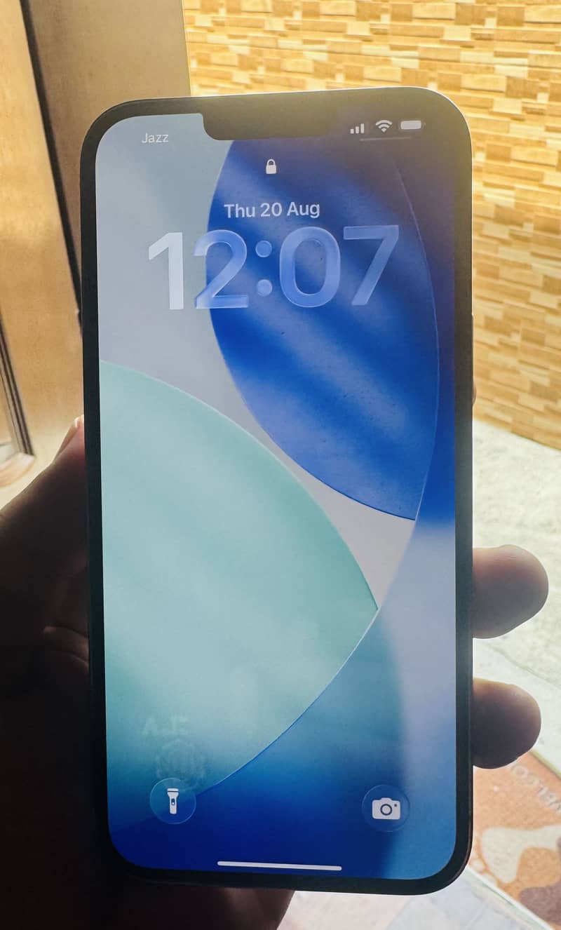 Apple iPhone 13 Pro Max 2