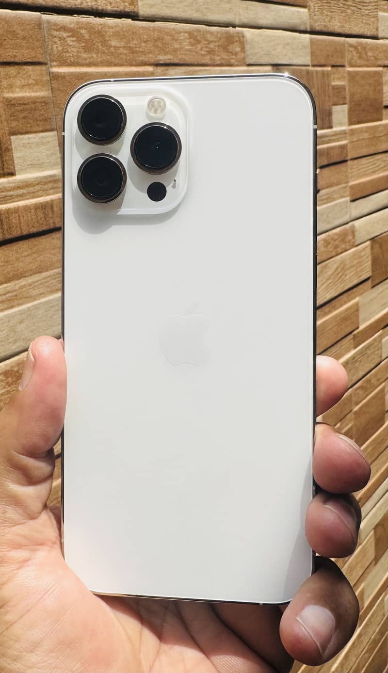 Apple iPhone 13 Pro Max 3