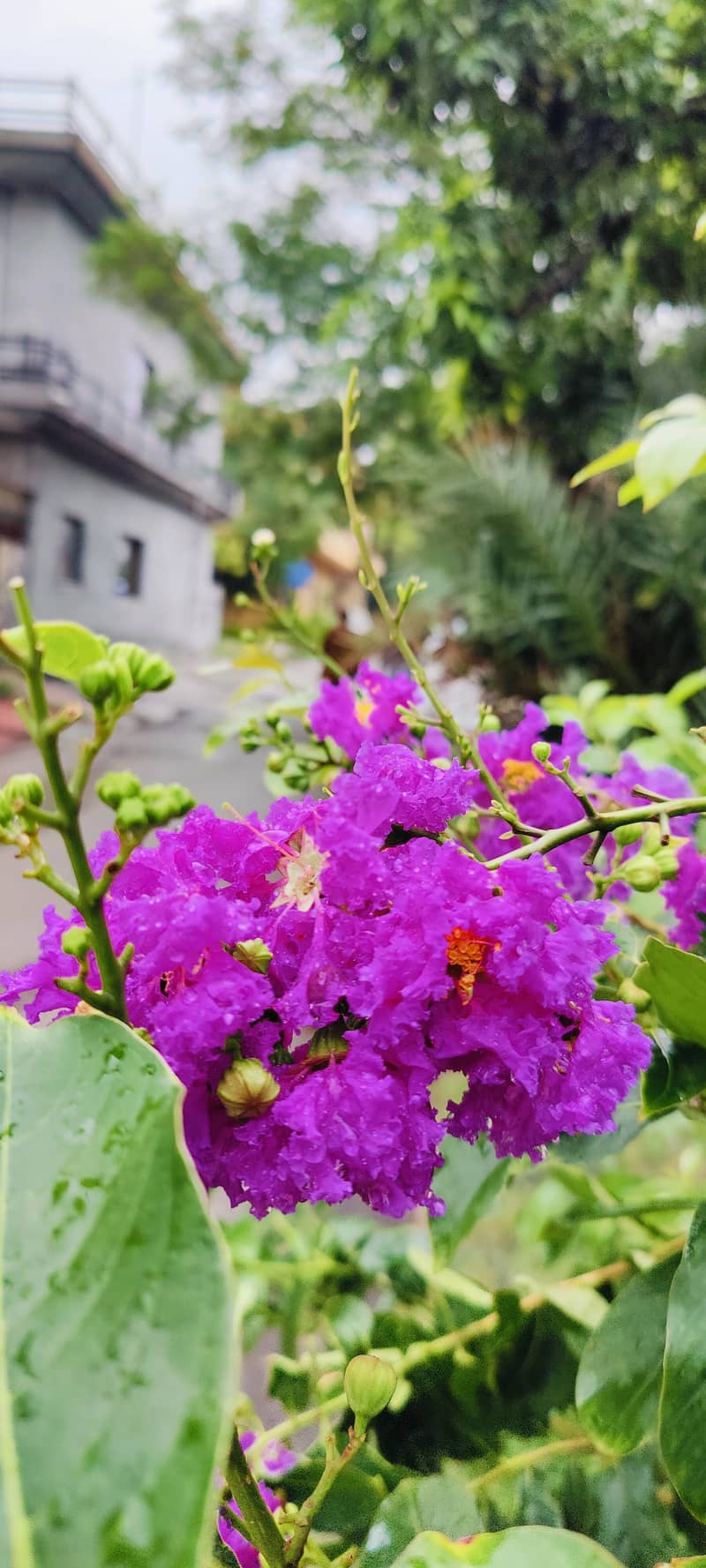One Plus 9 Pro 5