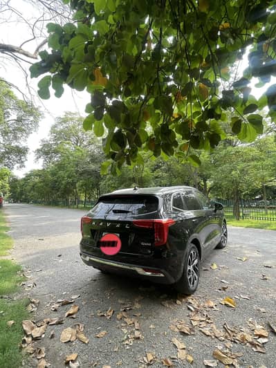 Haval Jolion 2021