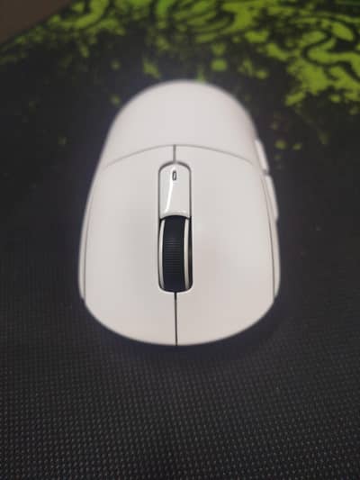 Mouse