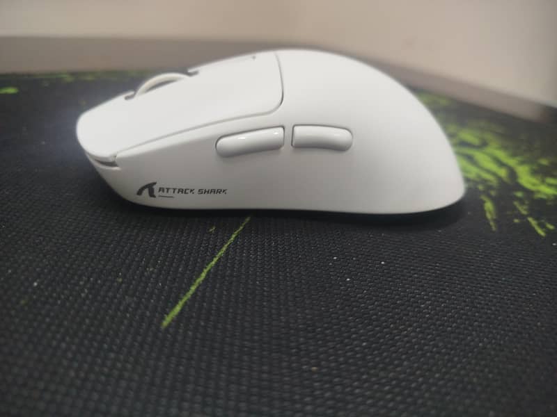 Mouse 1
