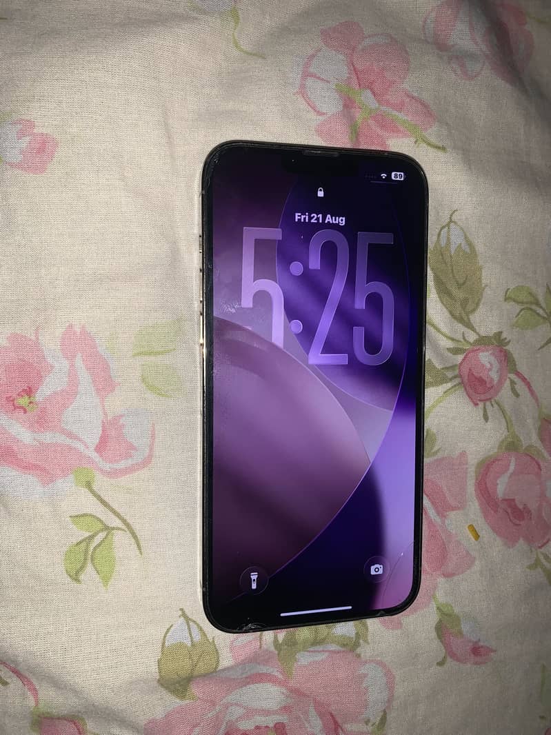 Apple iPhone 13 Pro Max 1