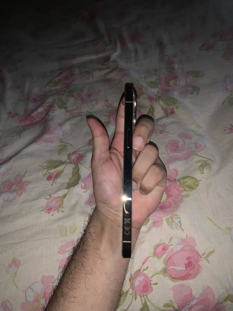 Apple iPhone 13 Pro Max 3