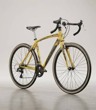 27” DELTA RACING BIKE