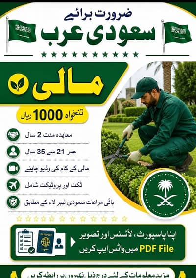 SAUDIA WORK VISA