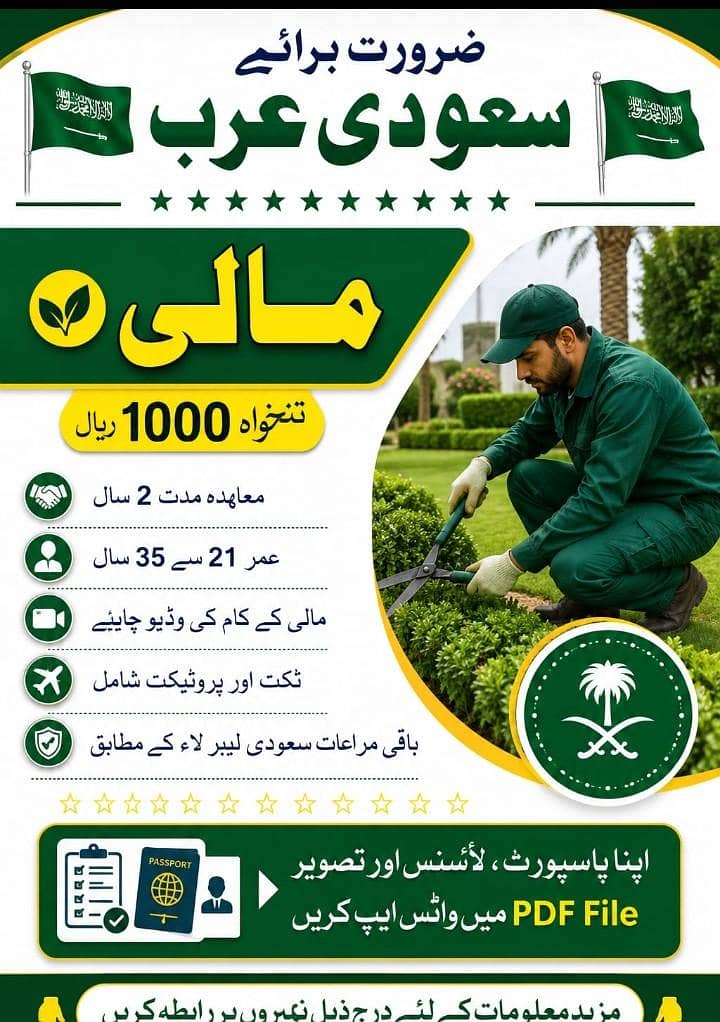 SAUDIA WORK VISA 0