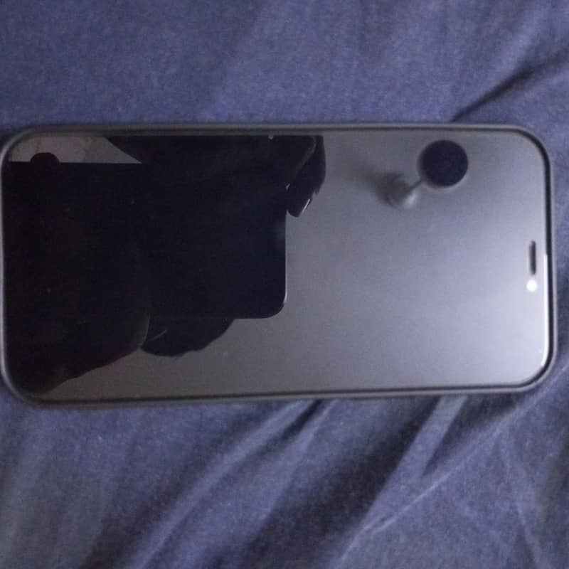Apple iPhone 12 1