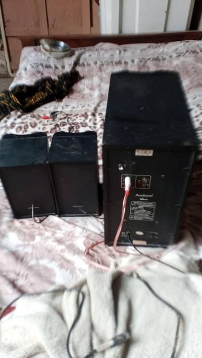 condition fit vip sapiker