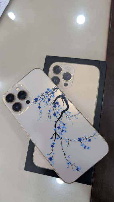 Apple iPhone 13 Pro Max