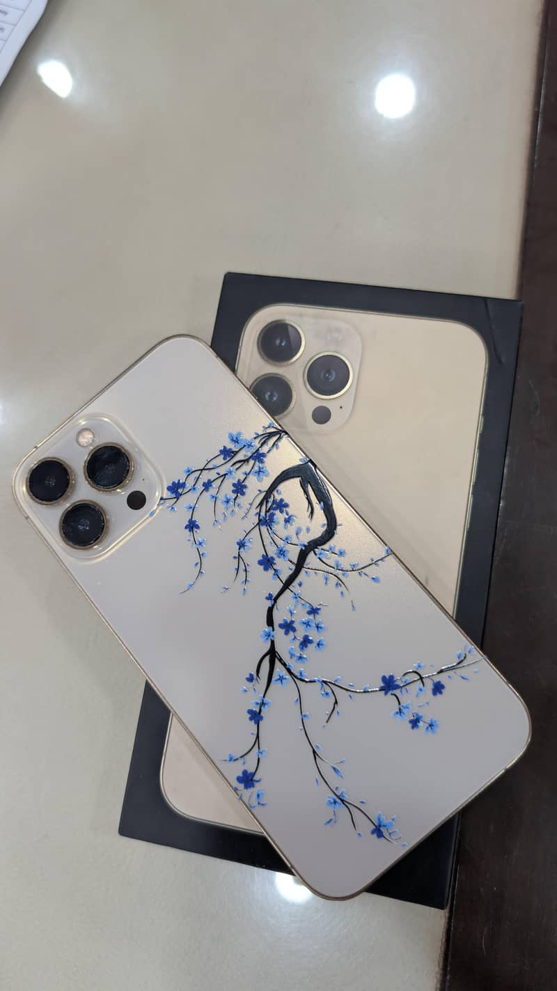 Apple iPhone 13 Pro Max 0