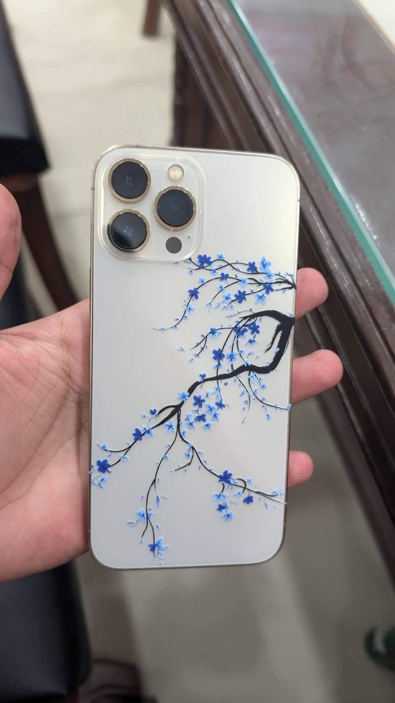 Apple iPhone 13 Pro Max 1