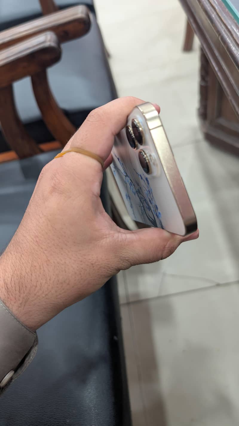Apple iPhone 13 Pro Max 3