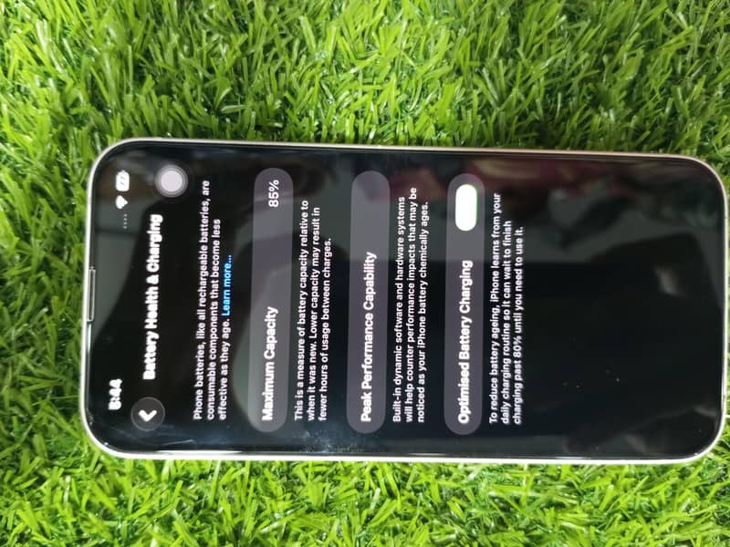 Apple iPhone 13 0