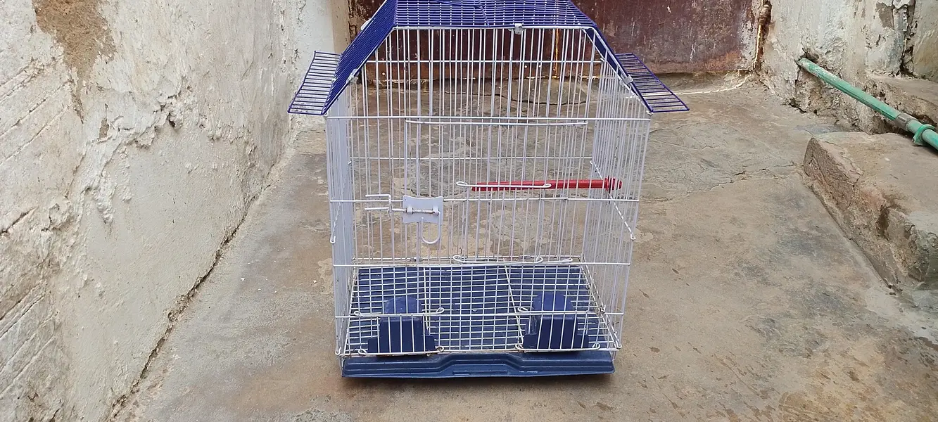 Beautiful cage just one month use paise kam ho jayengai — photo 2