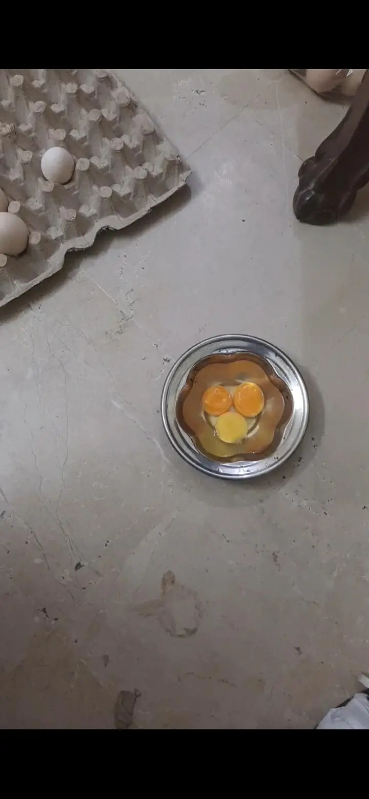 desi eggs / pure desi eggs / golden eggs — photo 2