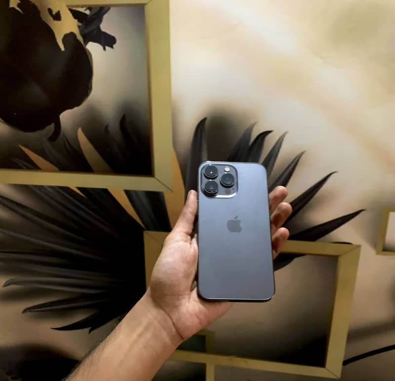 Apple iPhone 13 Pro 0