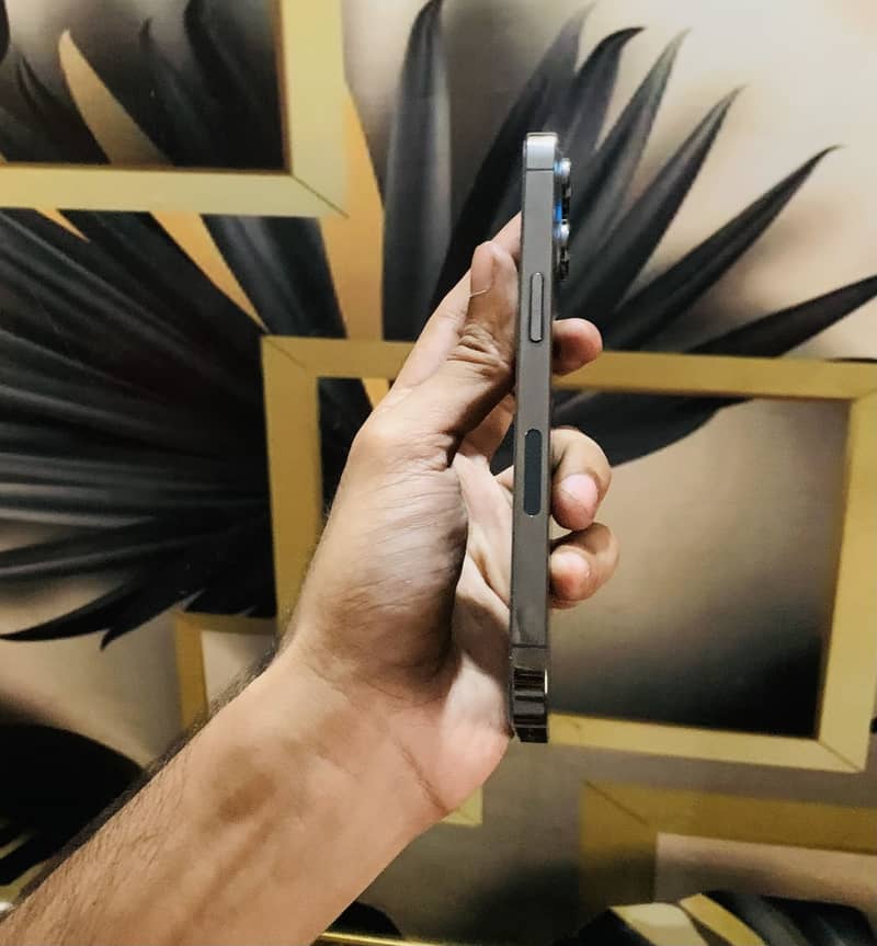 Apple iPhone 13 Pro 2