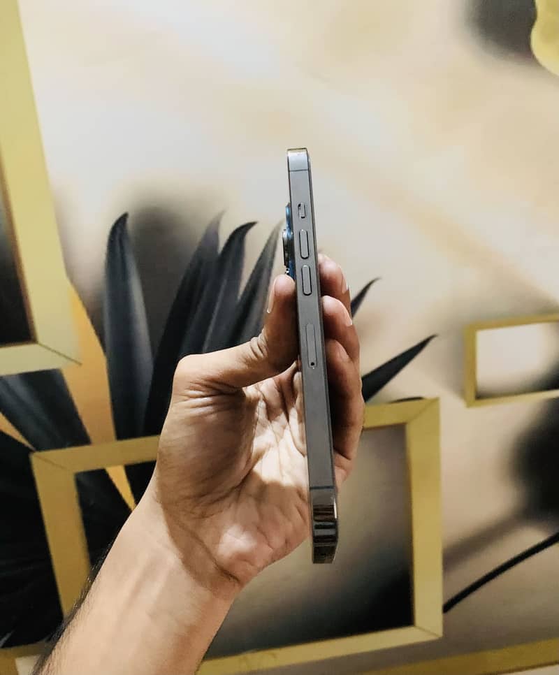 Apple iPhone 13 Pro 3