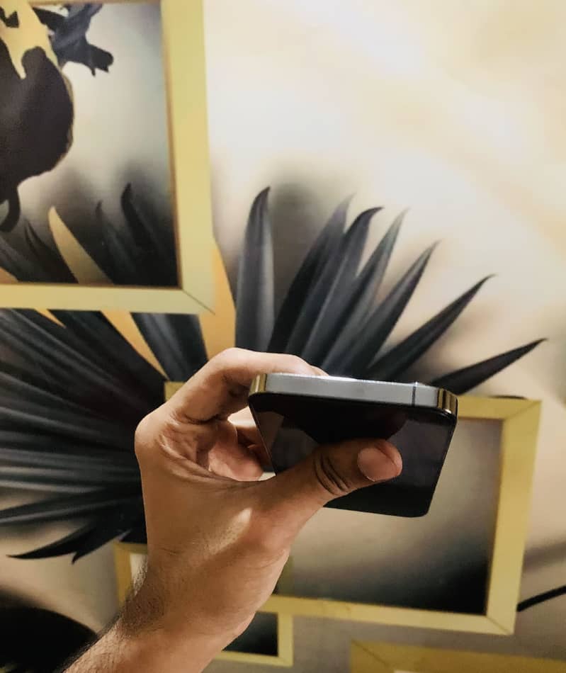 Apple iPhone 13 Pro 4