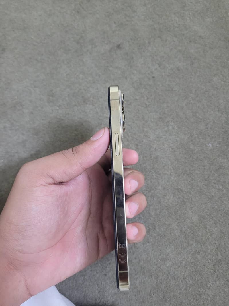 Apple iPhone 13 Pro Max 1