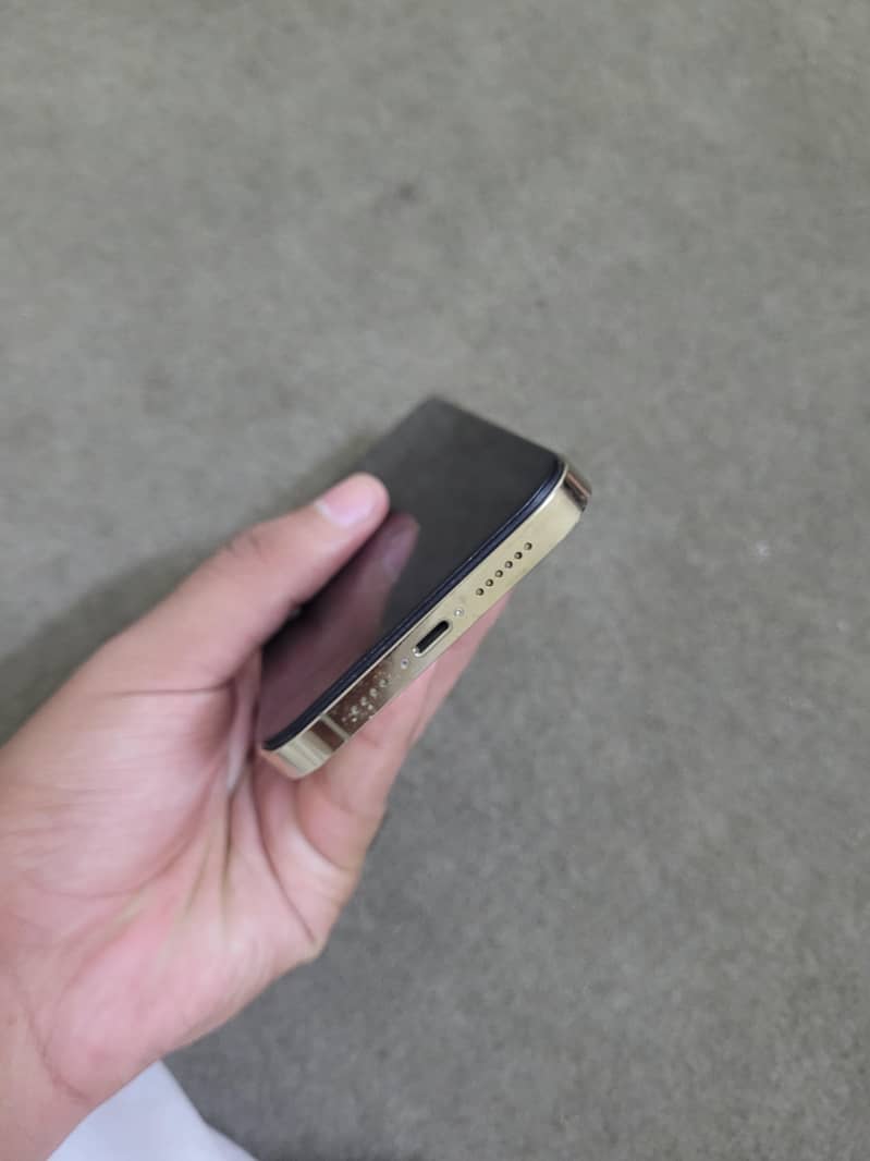 Apple iPhone 13 Pro Max 2