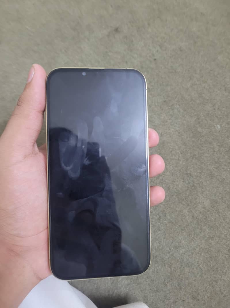 Apple iPhone 13 Pro Max 3