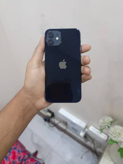 iPhone 12