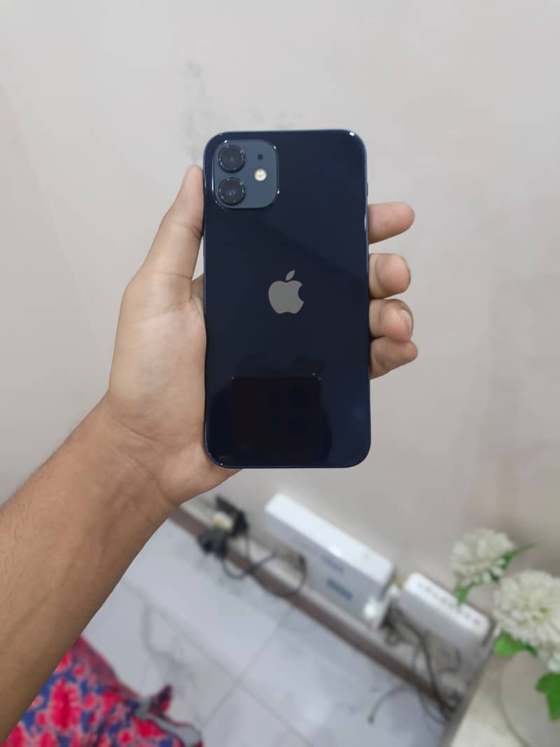 iPhone 12 0