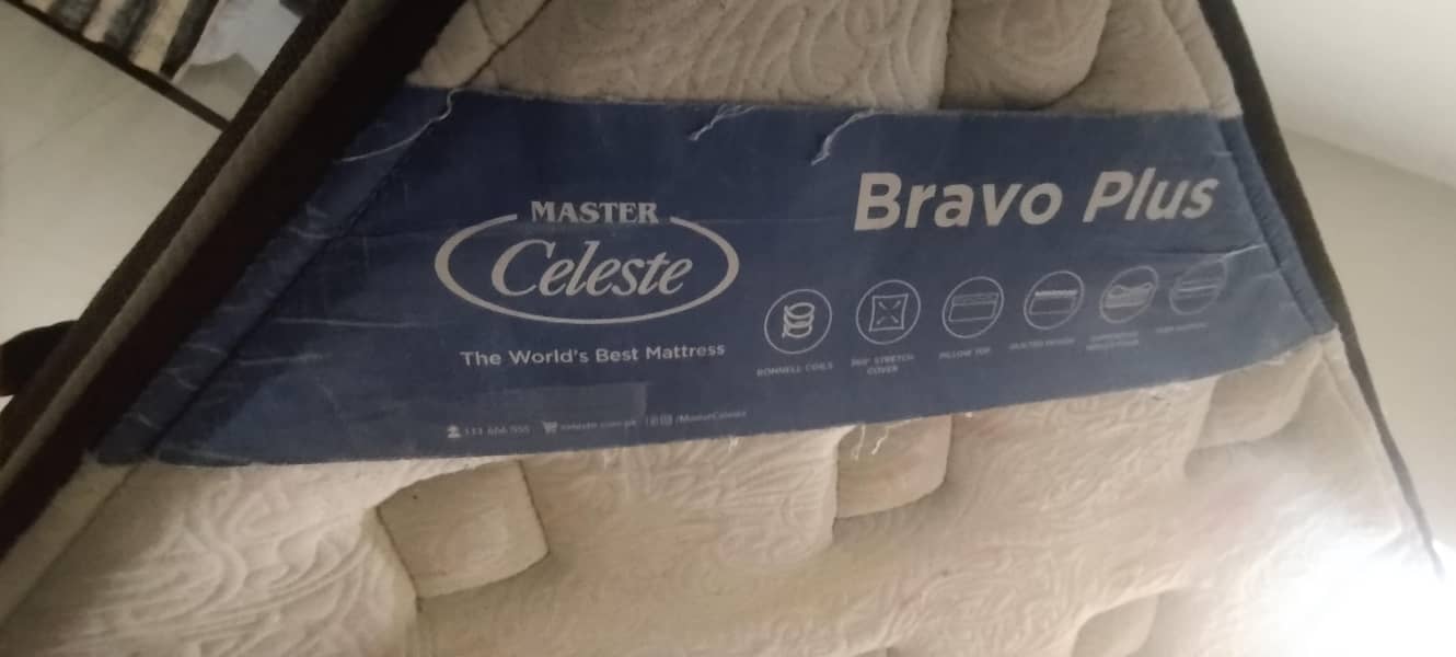 Bravo Plus molty Celeste 1