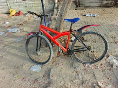 Best Daily Used Cycle