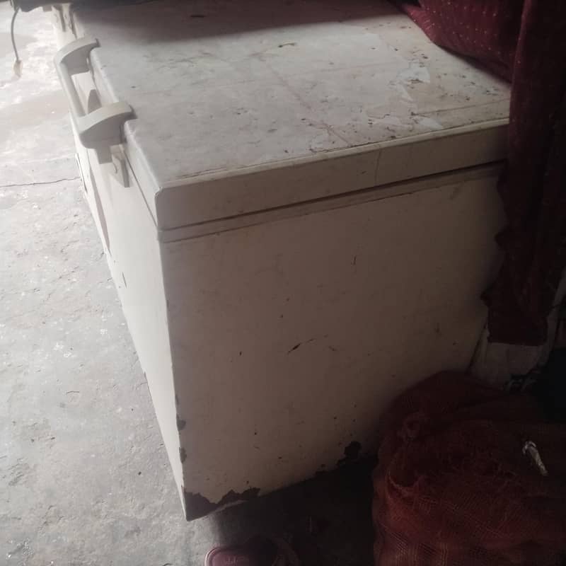 freezer 1