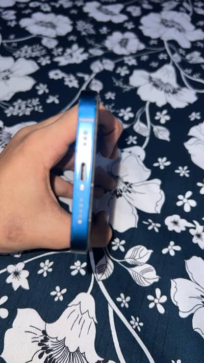 iphone 12 non pta 64/gb all ok fresh PCs