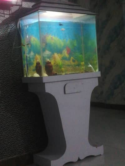Best equriam for sale