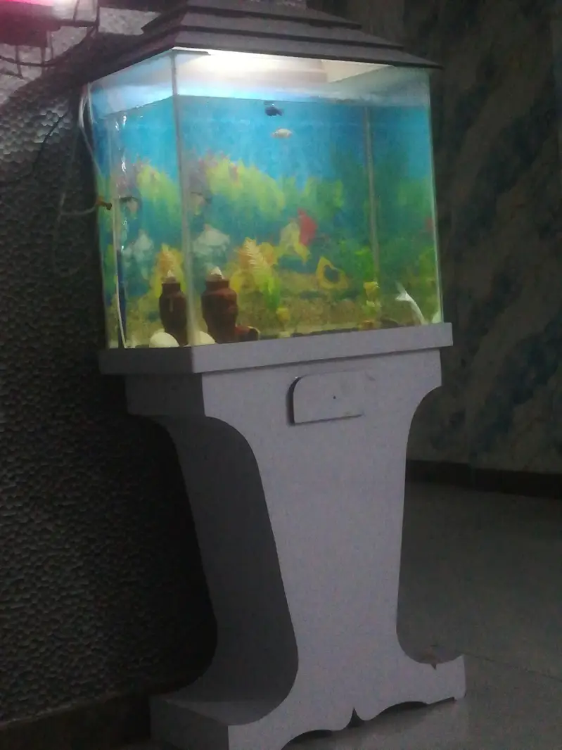 Best equriam for sale