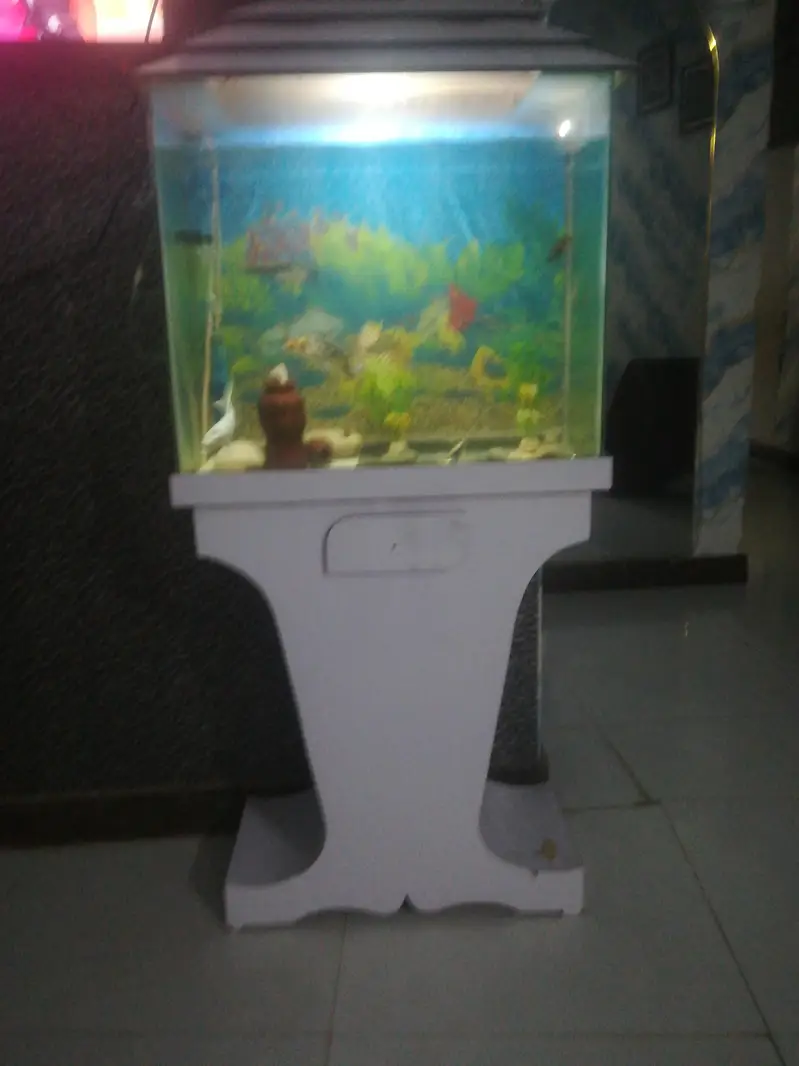 Best equriam for sale — photo 2