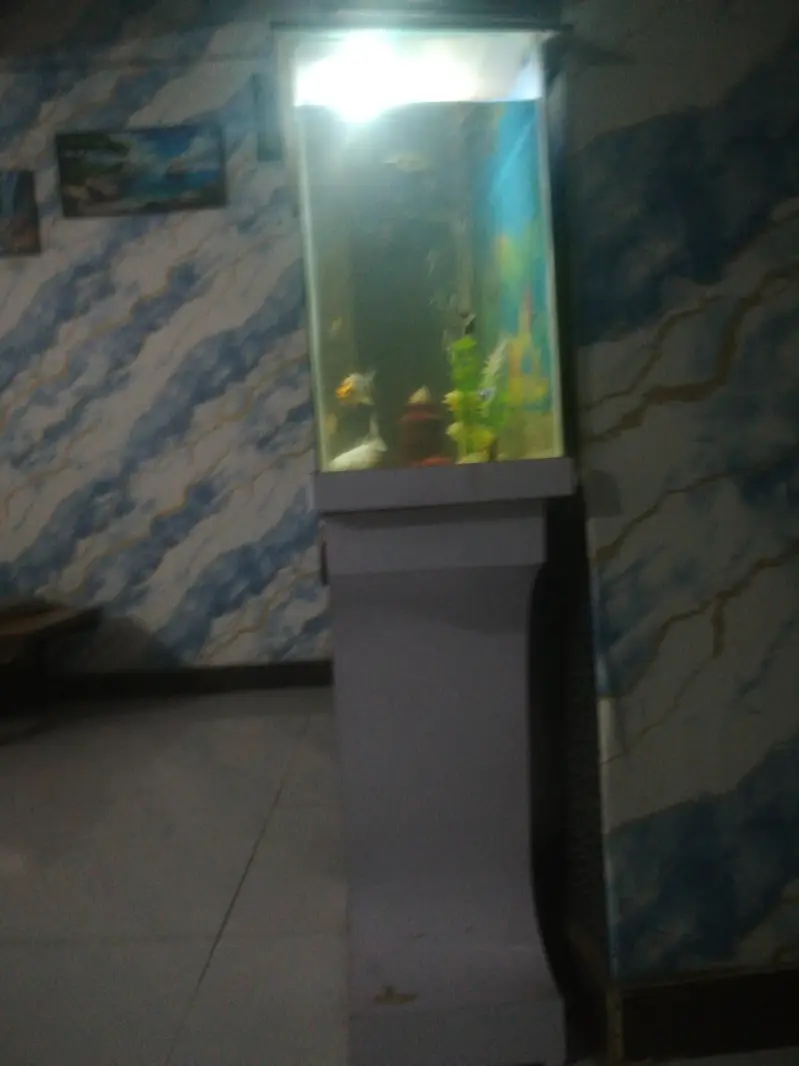 Best equriam for sale — photo 3