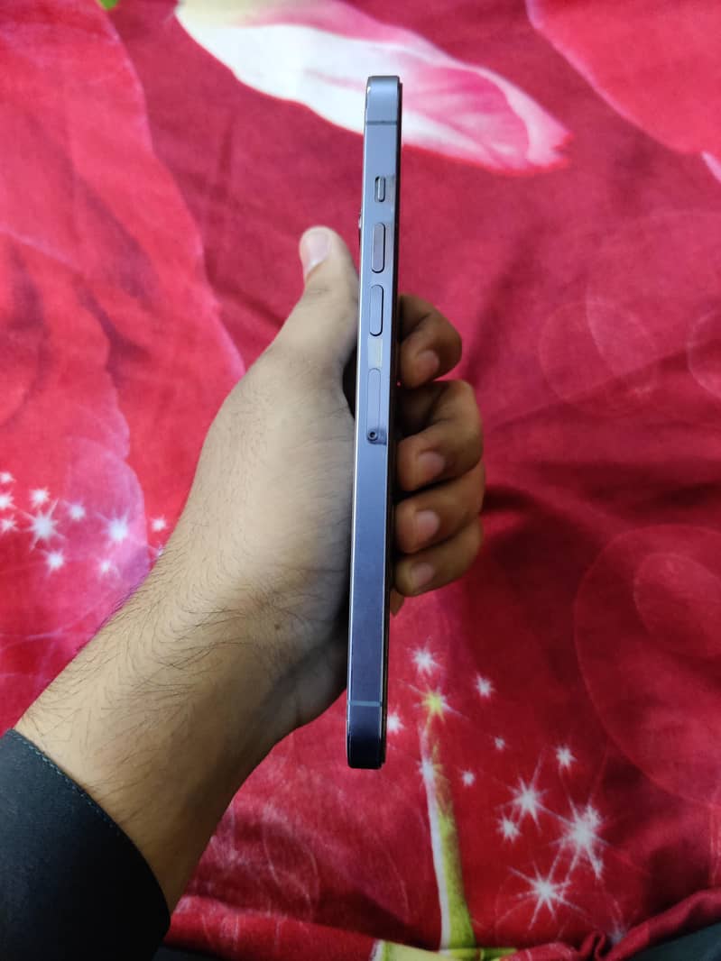 Apple iPhone 13 Pro Max 1