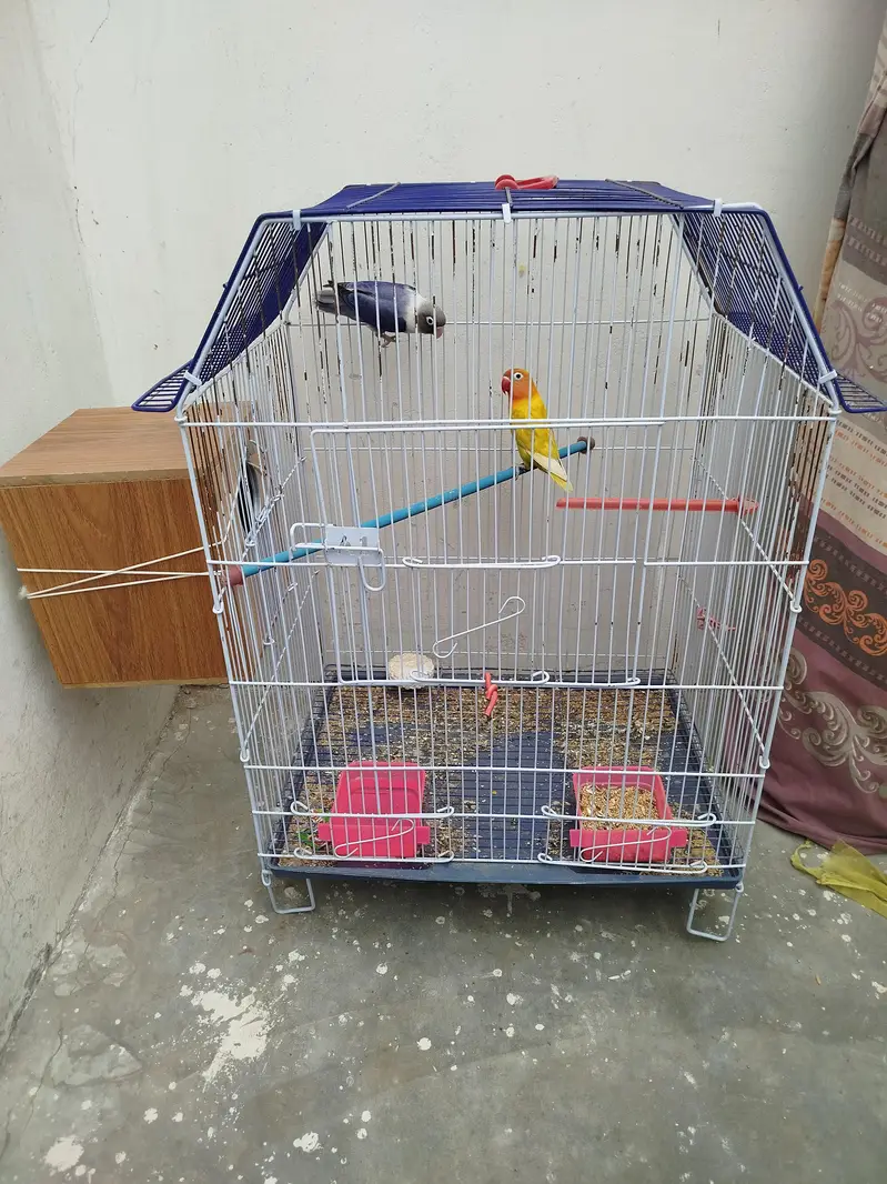 cage 2500 birds 2000 pair — photo 5