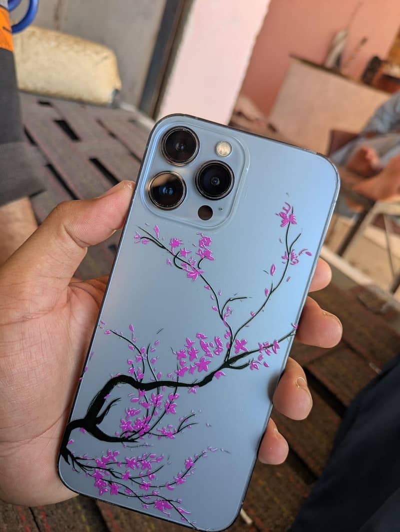 Apple iPhone 13 Pro Max 0