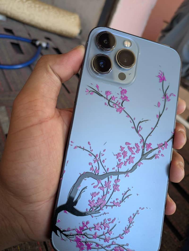 Apple iPhone 13 Pro Max 2