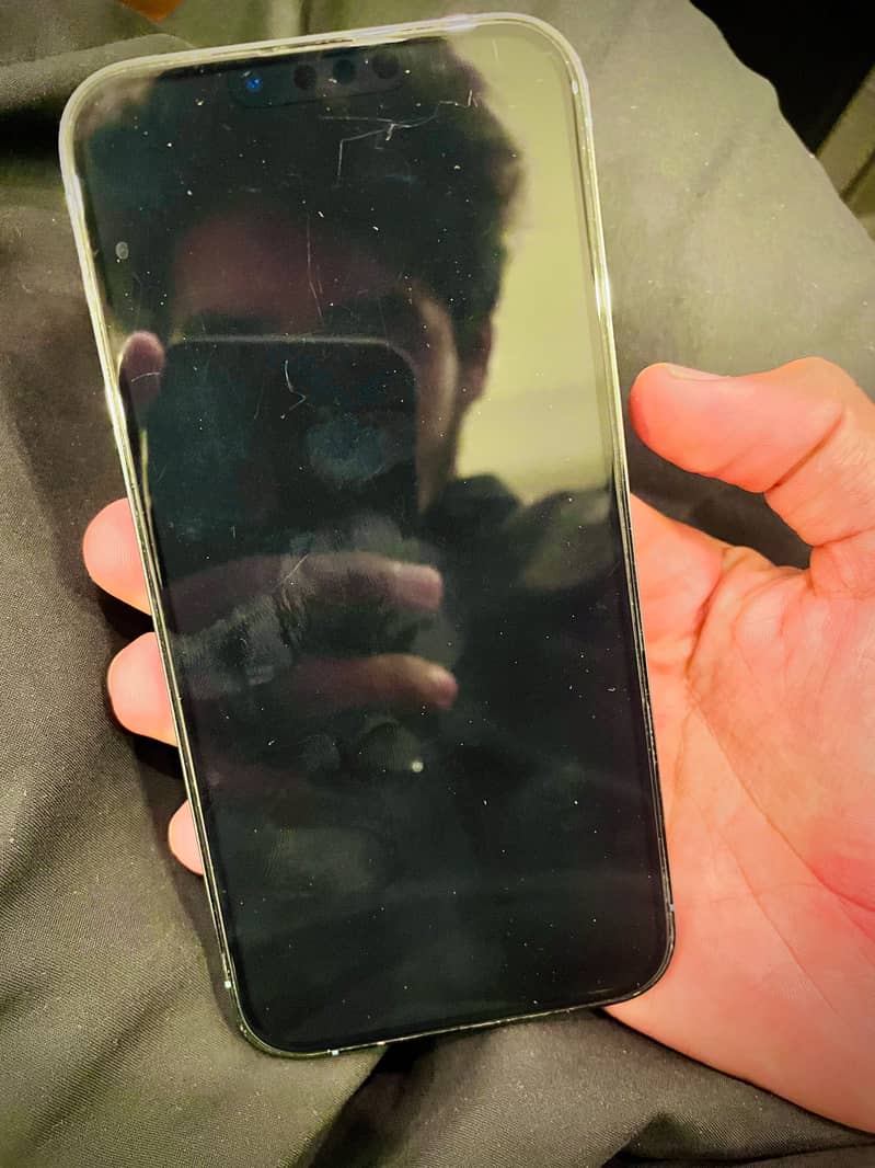 Apple iPhone 13 Pro Max 6
